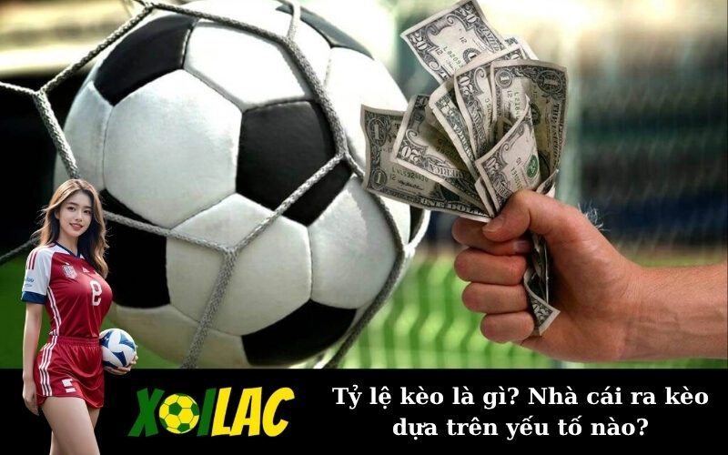 Tỷ lệ kèo là gì? Nhà cái ra kèo dựa trên yếu tố nào?